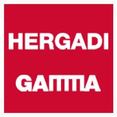 digitalização de empresas de distribuição Hergadi Gamma